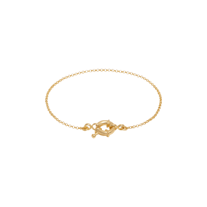 Fine Rolo Charm Bracelet with Sailor Clasp - Gold