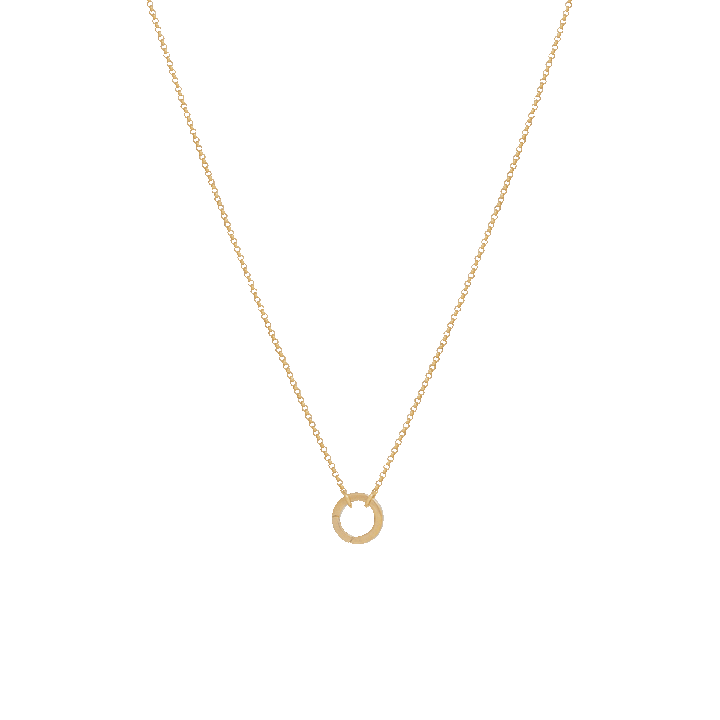 Fine Rolo Charm Necklace with Round Clasp - Gold