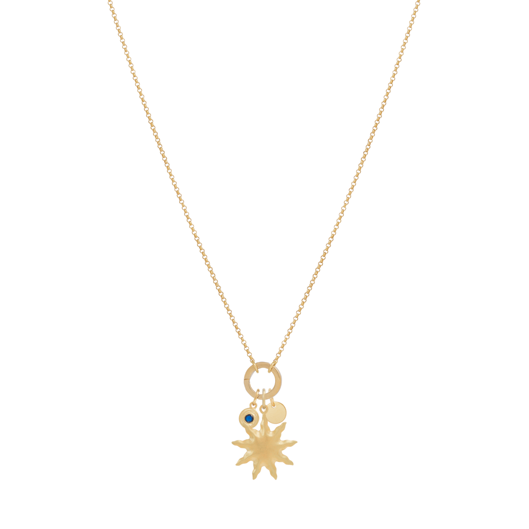 Fine Rolo Charm Necklace with Round Clasp - Gold