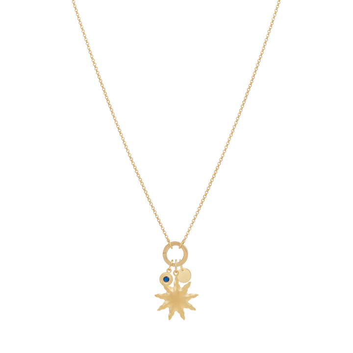 Fine Rolo Charm Necklace with Round Clasp - Gold