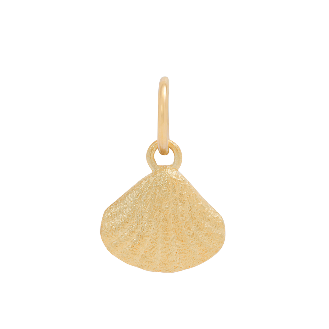 Baby Shell Charm - Gold