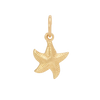Baby Starfish Charm - Gold
