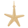 Nerida Charm - Gold