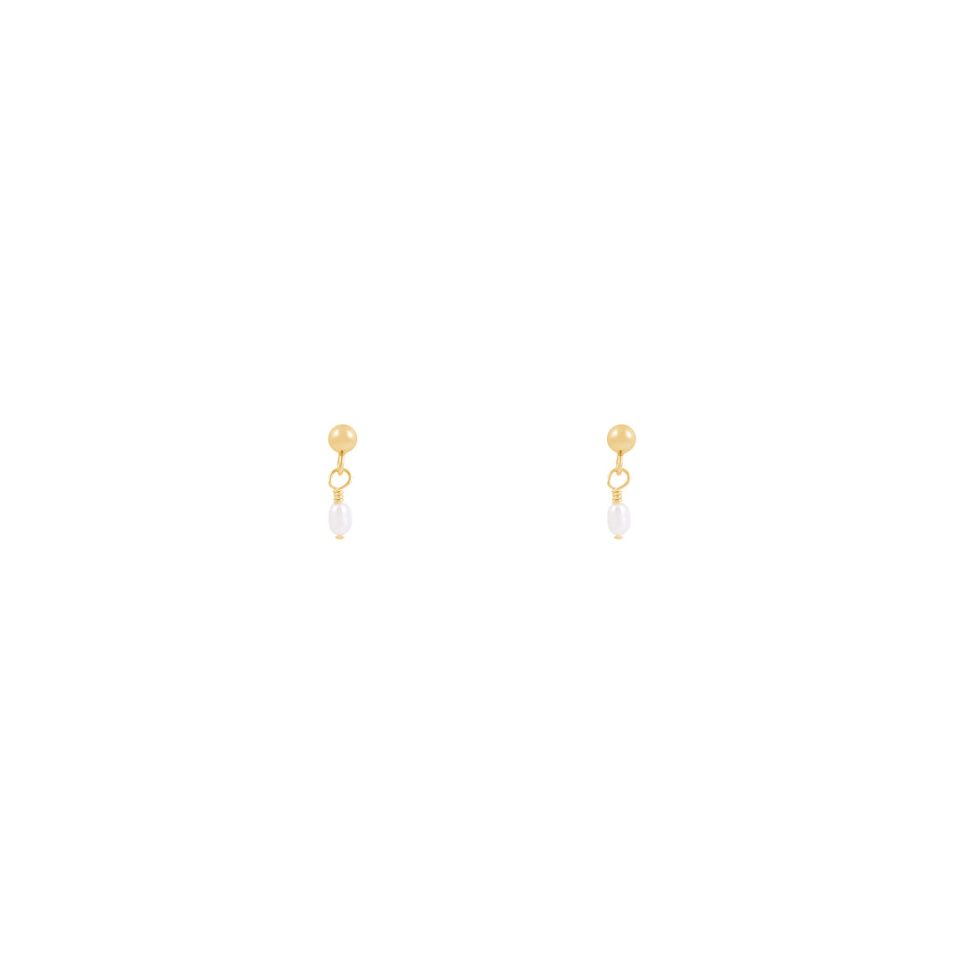 Noa Freshwater Pearl Earrings - Gold