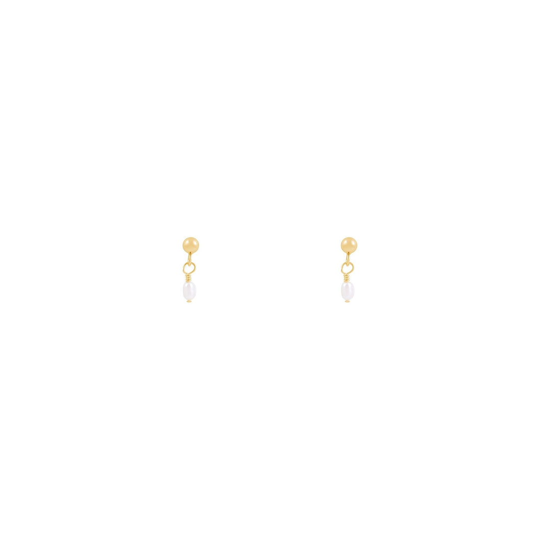 Noa Earrings - Solid Gold
