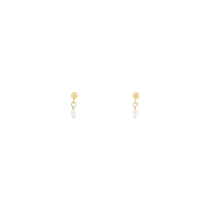 Noa Earrings - Solid Gold