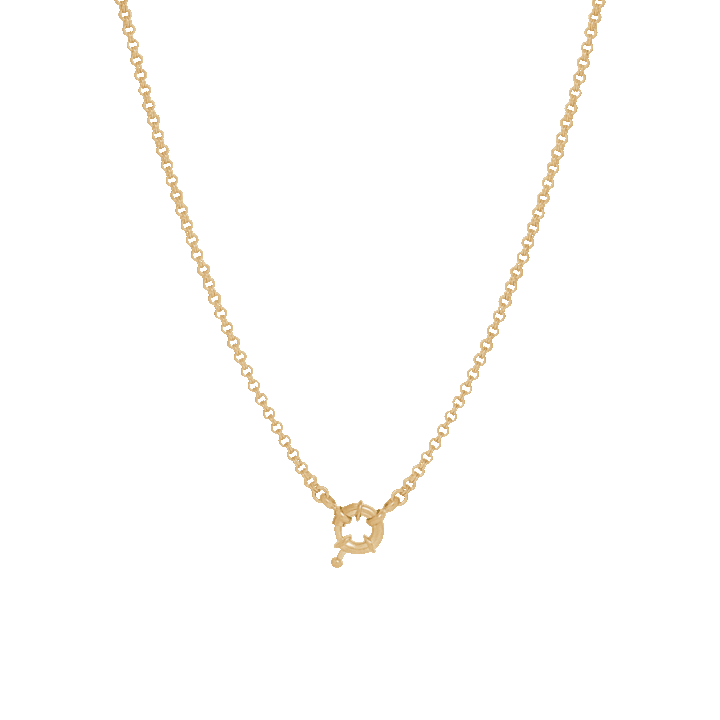 Double Link Rolo Charm Necklace with Sailor Clasp - Gold