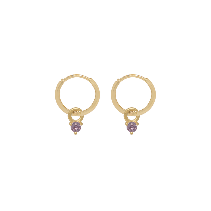 Birthstone Mini Hoop Earrings - Gold
