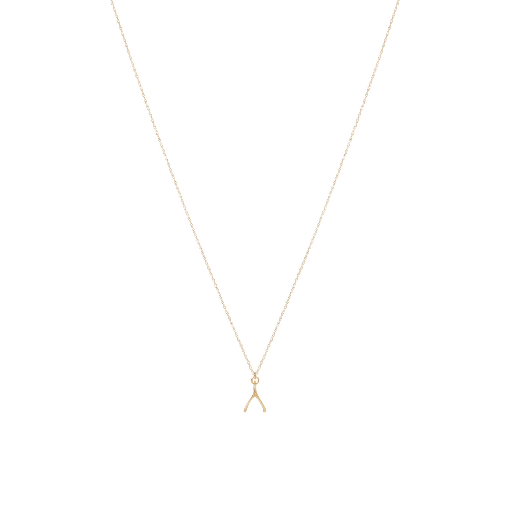 Gold Wishbone Necklace – Corey Egan