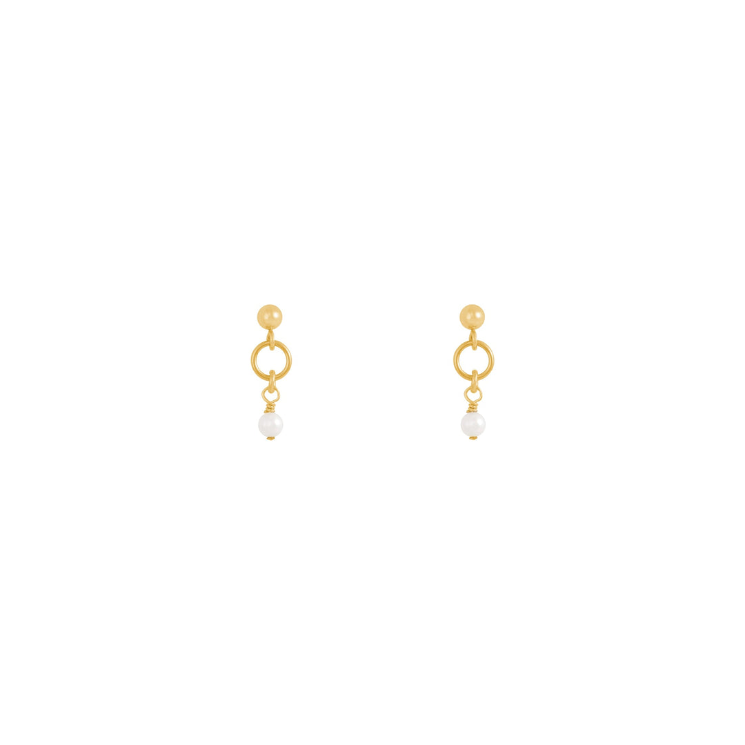 Drew Earrings - Solid Gold