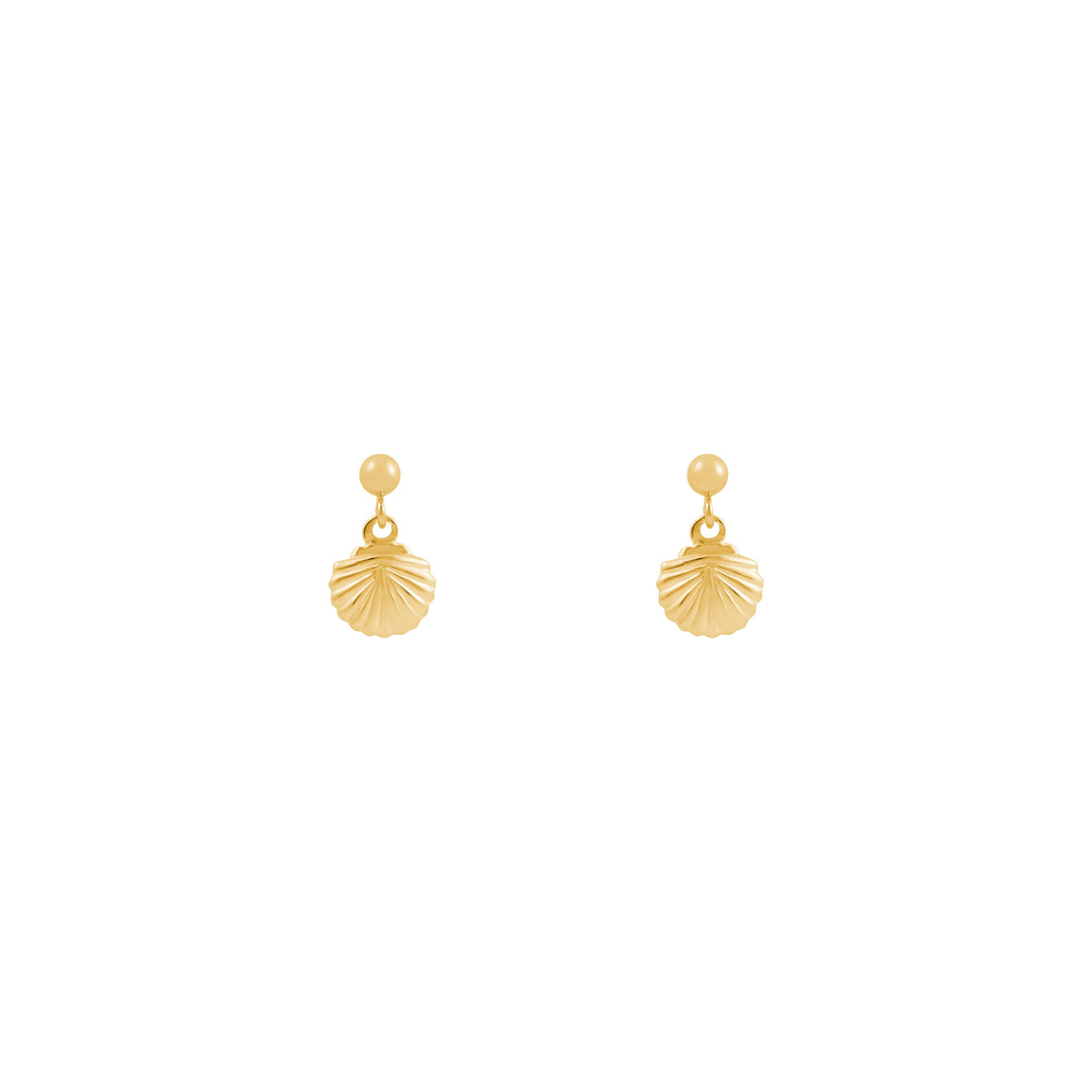 Tiny Shell Earrings - Gold