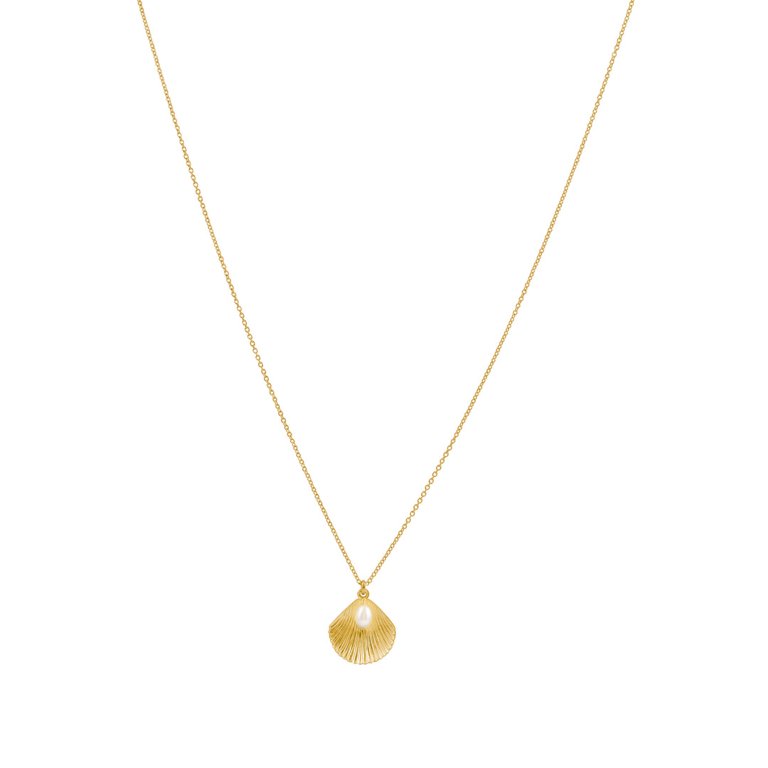 A gold necklace with a shell pendant and a freshwater pearl detail, presented against a white background.
