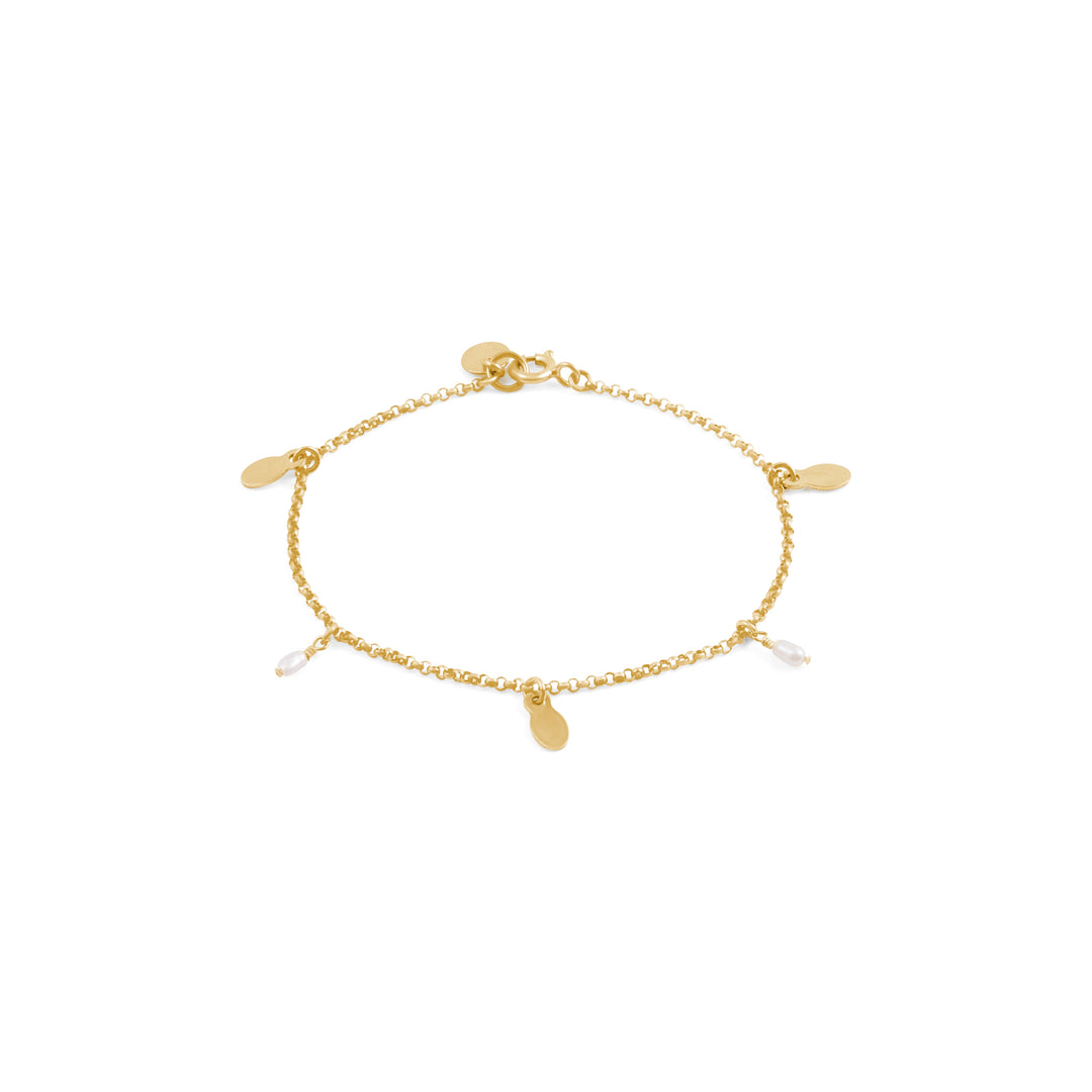 A gold-filled rolo chain bracelet with flat oval disc details and freshwater pearl drops on a white background.